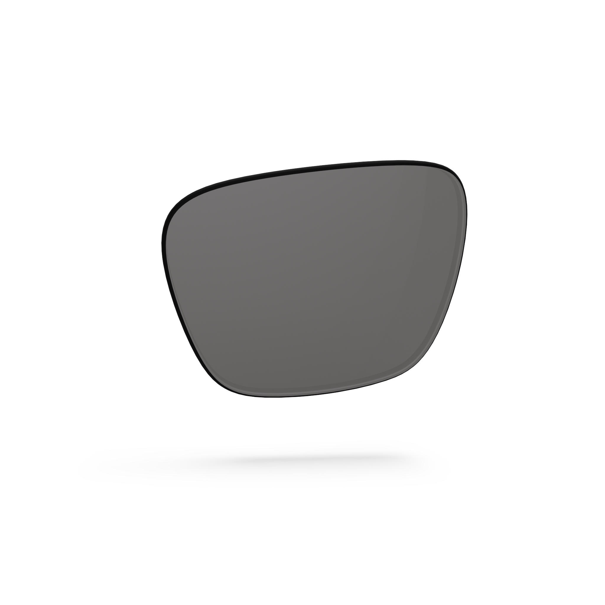 Pleasure Lenses - Gray