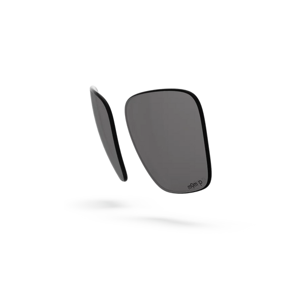 Pleasure Lenses - Gray Polarized